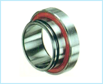 Special Bearings