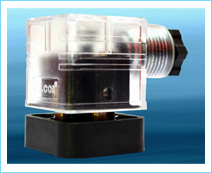 Plug with Socket Fitting