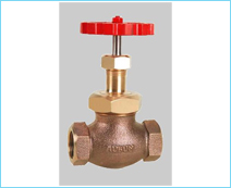 Globe Valve