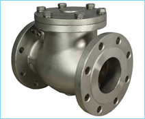 Non Return Valve Swing Flange End