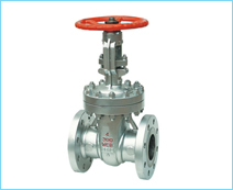 Gate Valve Flange End