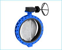 Butterfly Valve Motorised